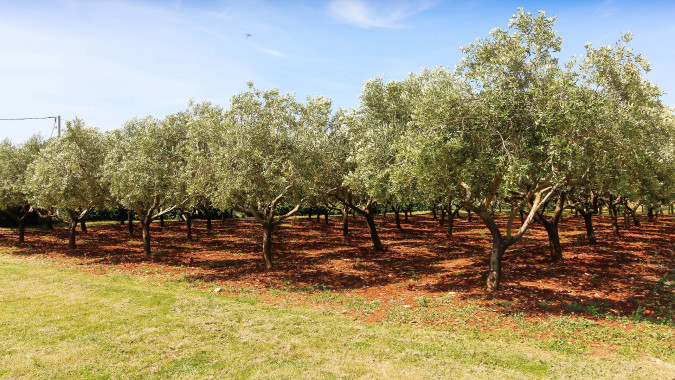 Exterior, Villa Dvori Valtura